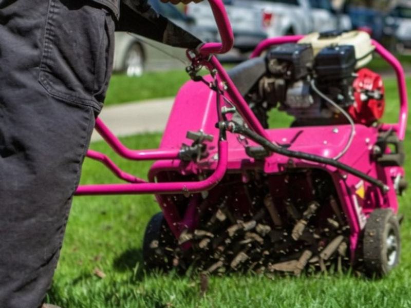 Core aeration on a residential lawn in Kitchener-Waterloo.