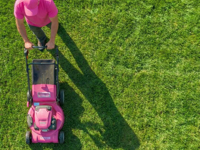 Lawn mowing with a pink push mower in Kitchener-Waterloo.