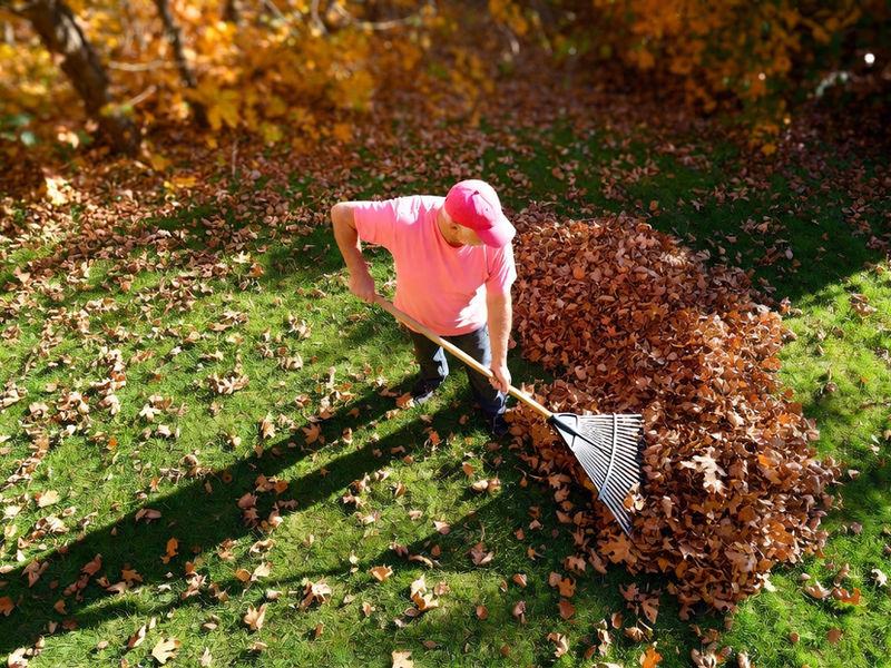 Fall yard clean up with a leaf blower in Kitchener-Waterloo.